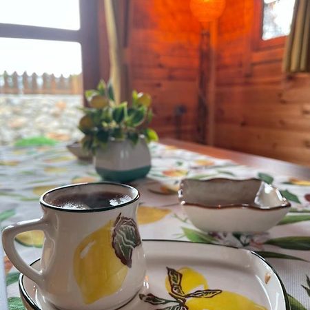 Andizalti Doga Evleri Limon Ev Datca Villa Kültér fotó