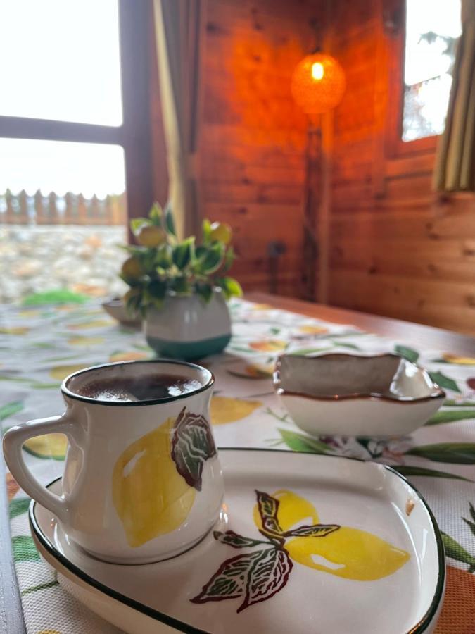 Andizalti Doga Evleri Limon Ev Datca Villa Kültér fotó